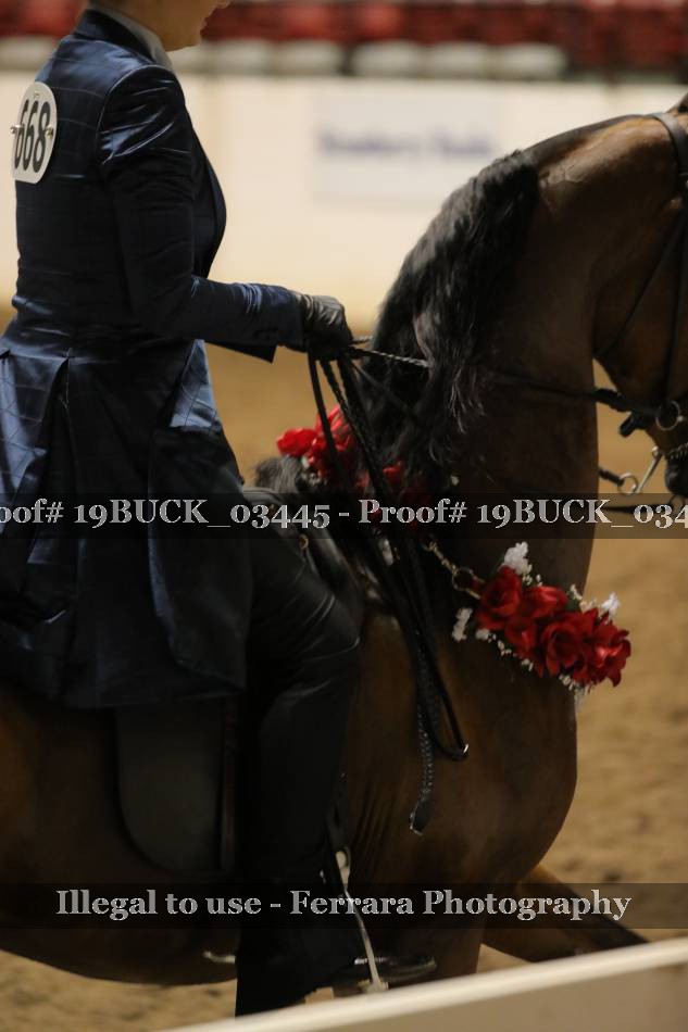 Proof 19BUCK_03445