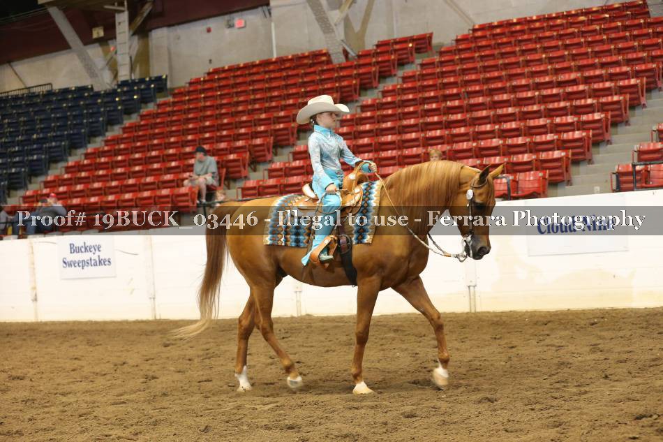 Proof 19BUCK_03446