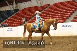 19BUCK_03446 proof
