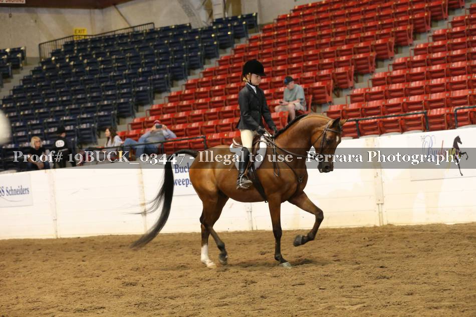 Proof 19BUCK_03447