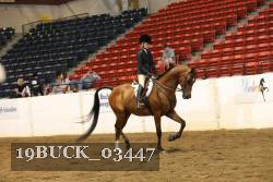 19BUCK_03447 proof