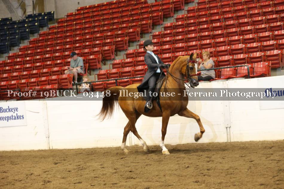 Proof 19BUCK_03448