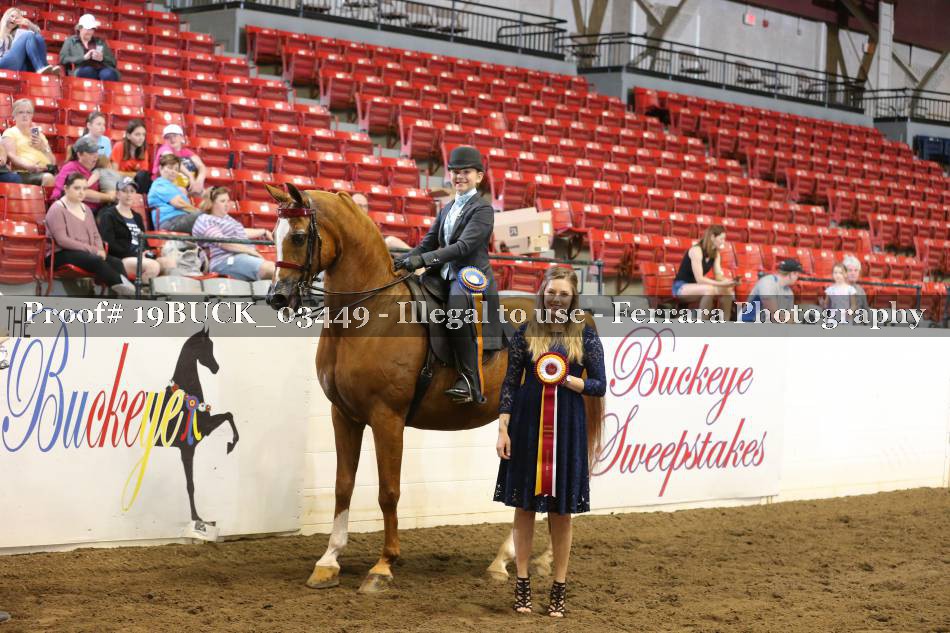 Proof 19BUCK_03449