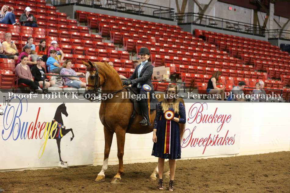 Proof 19BUCK_03450