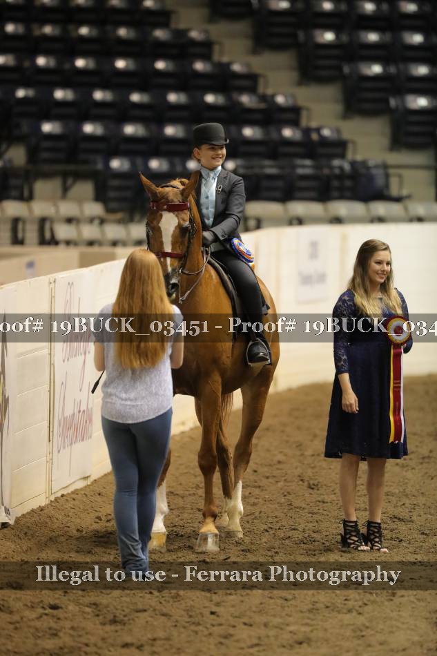Proof 19BUCK_03451