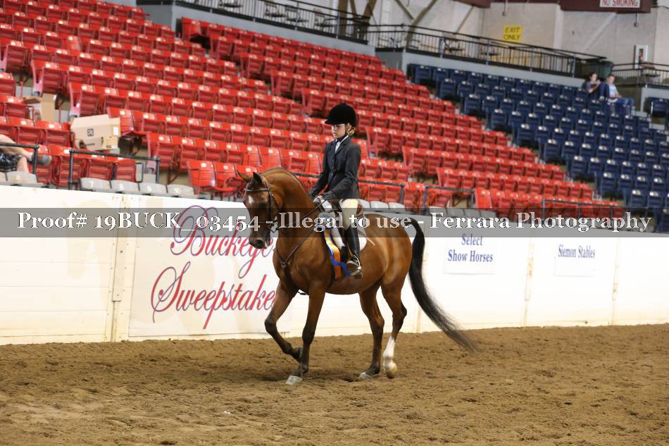 Proof 19BUCK_03454