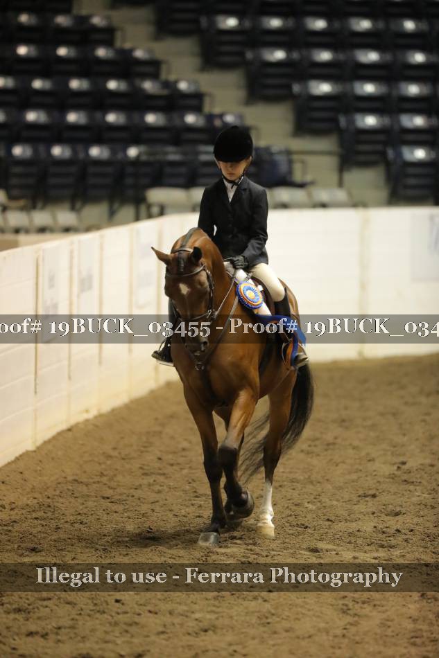 Proof 19BUCK_03455