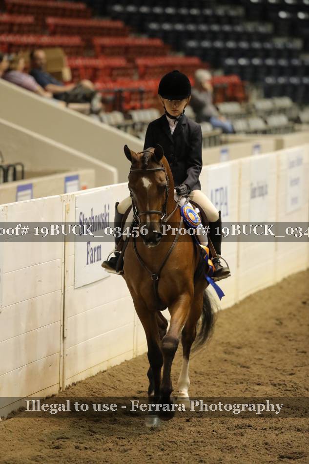 Proof 19BUCK_03456