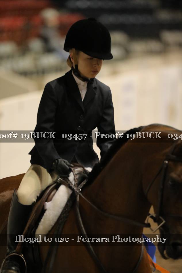 Proof 19BUCK_03457