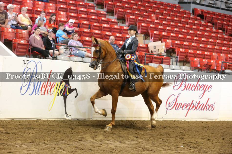 Proof 19BUCK_03458