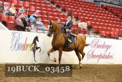 19BUCK_03458 proof