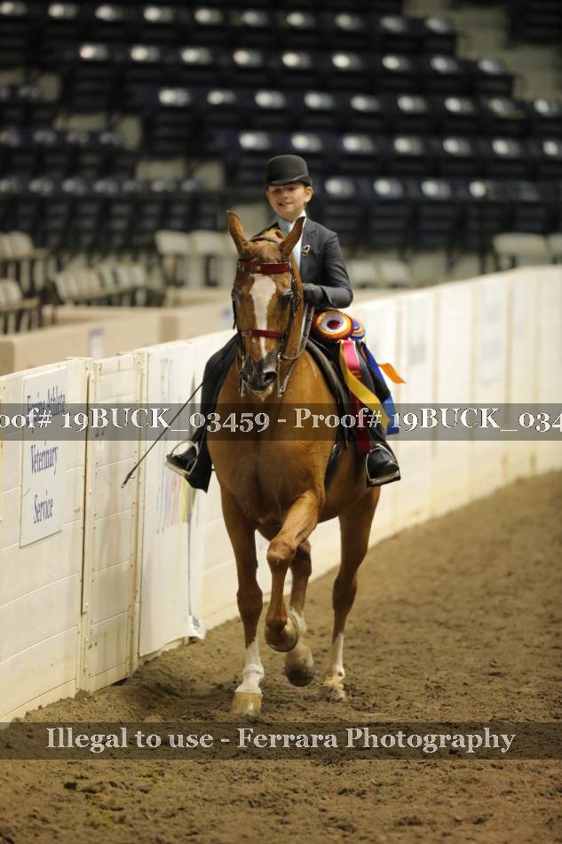 Proof 19BUCK_03459