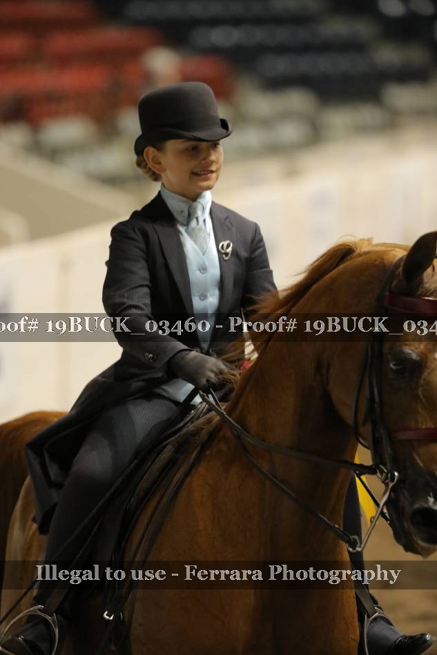Proof 19BUCK_03460