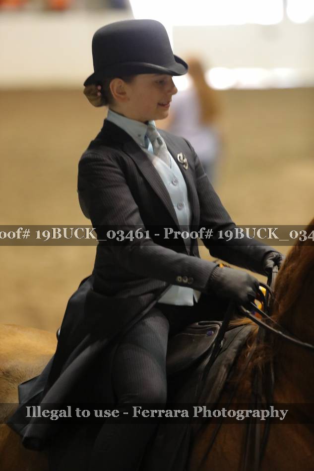 Proof 19BUCK_03461