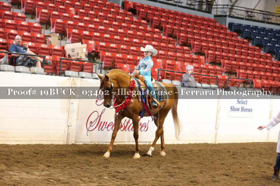 Proof 19BUCK_03462