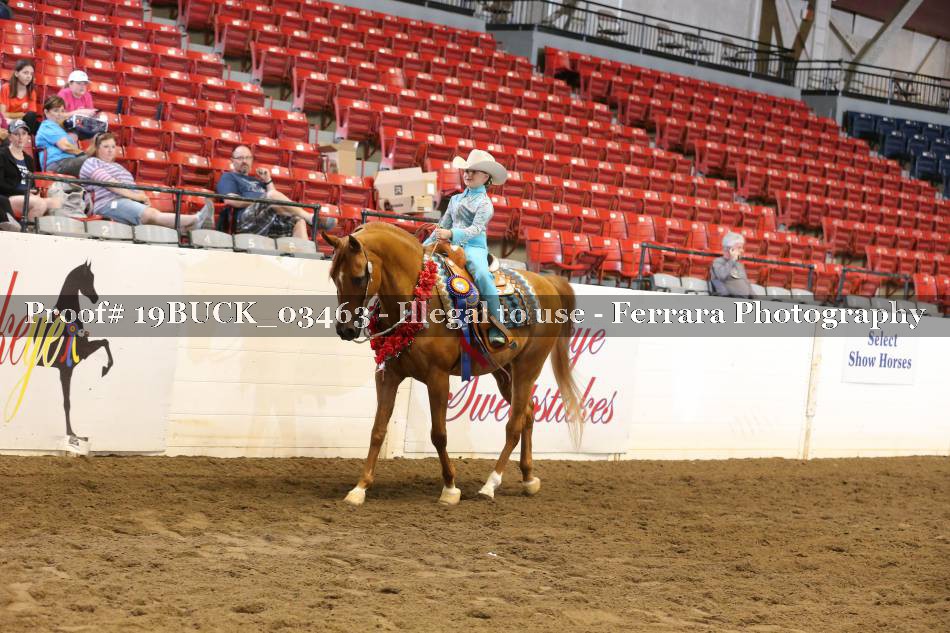 Proof 19BUCK_03463