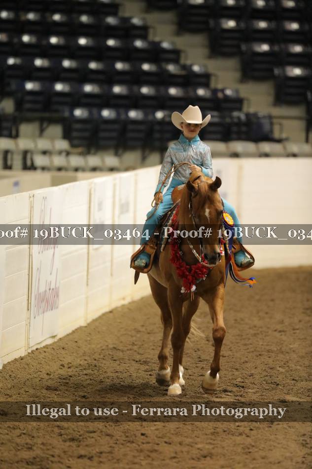 Proof 19BUCK_03464