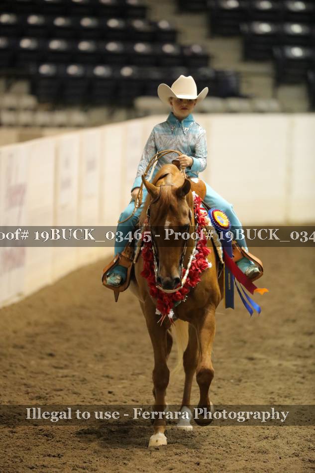 Proof 19BUCK_03465