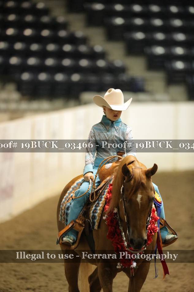 Proof 19BUCK_03466