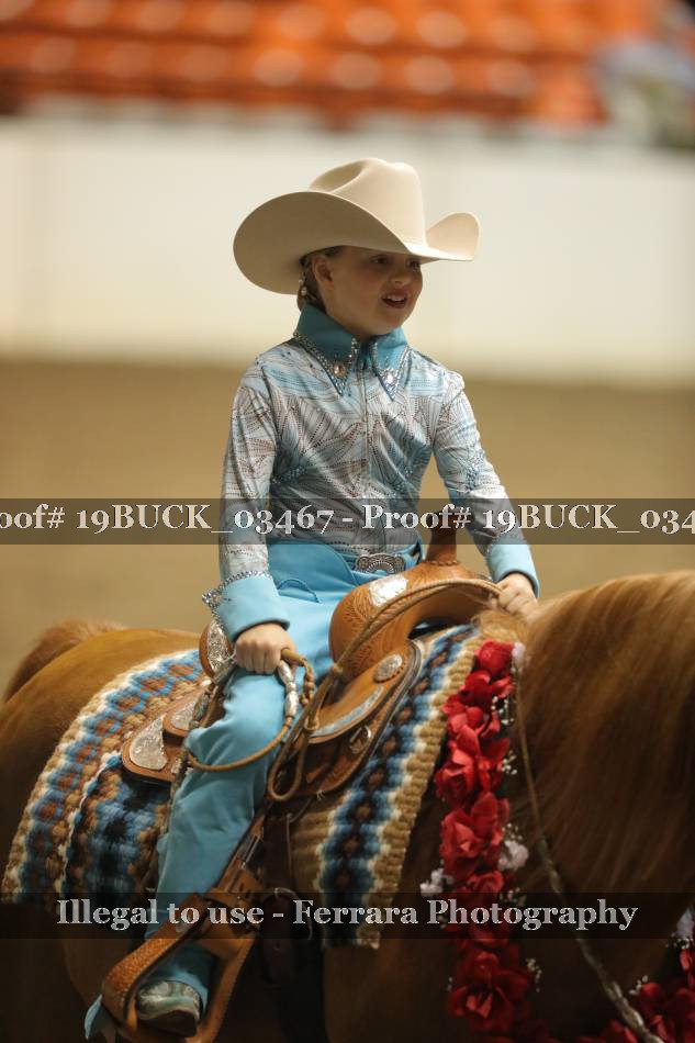 Proof 19BUCK_03467