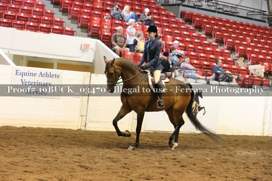 Proof 19BUCK_03470