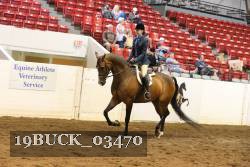 19BUCK_03470 proof
