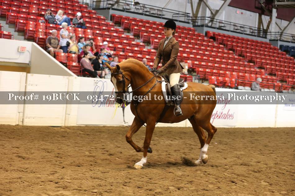 Proof 19BUCK_03472