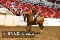 19BUCK_03472 proof