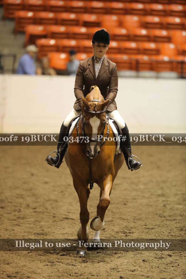 Proof 19BUCK_03473