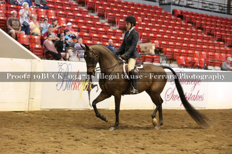 Proof 19BUCK_03474