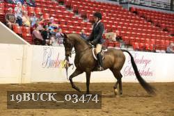 19BUCK_03474 proof