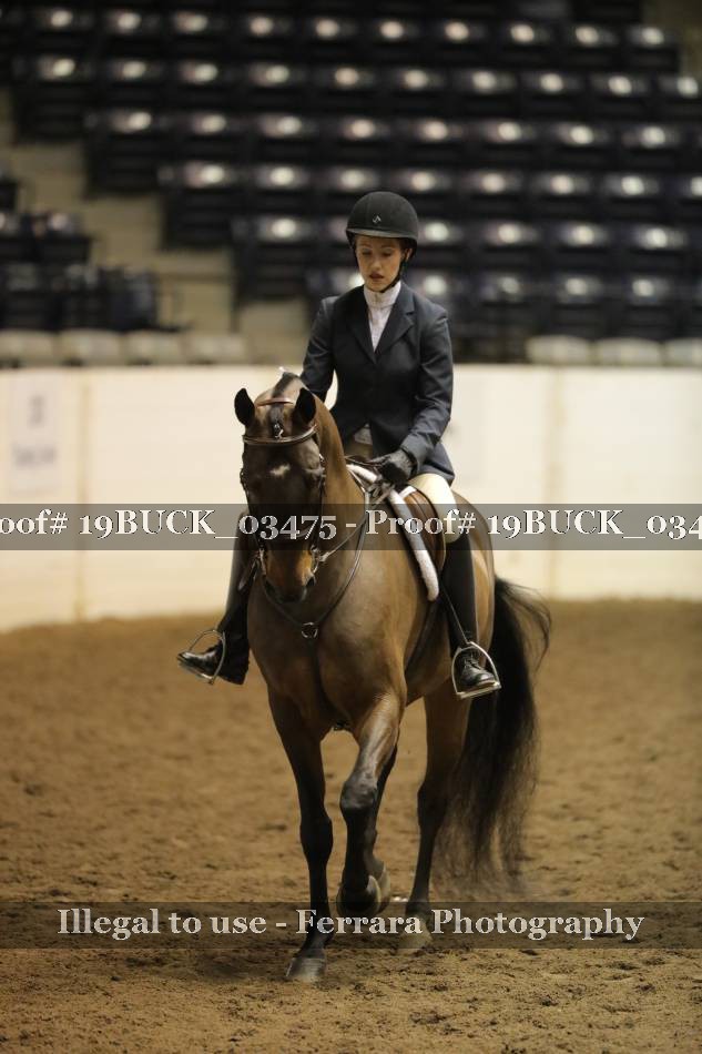 Proof 19BUCK_03475