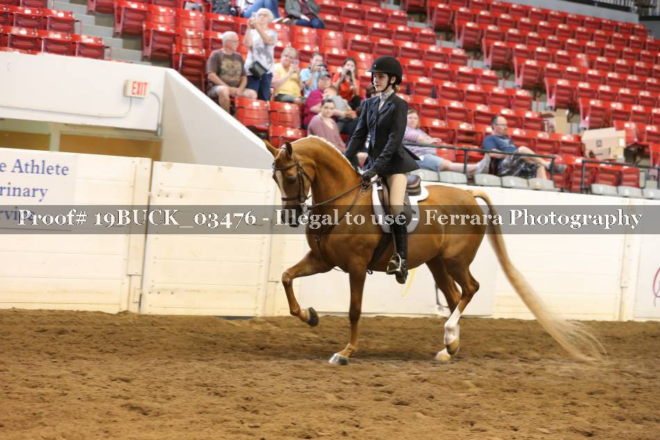 Proof 19BUCK_03476