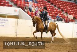 19BUCK_03476 proof