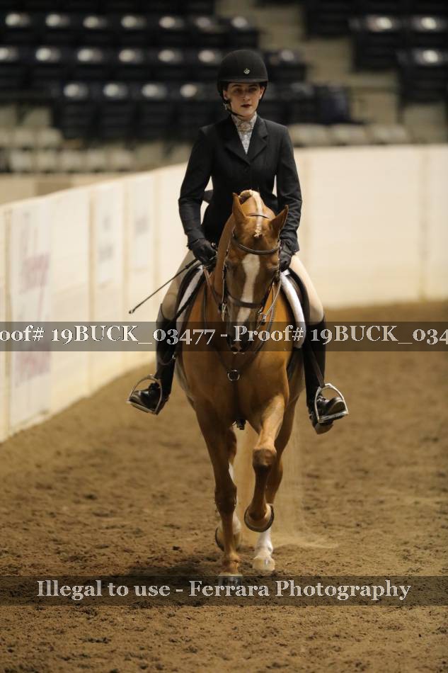 Proof 19BUCK_03477