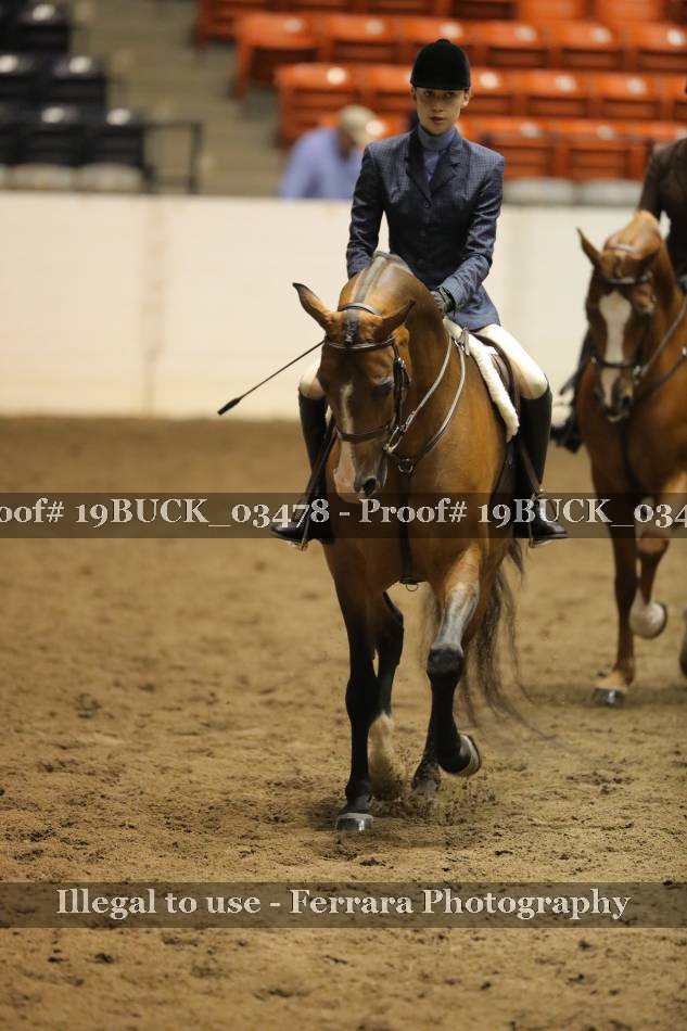 Proof 19BUCK_03478