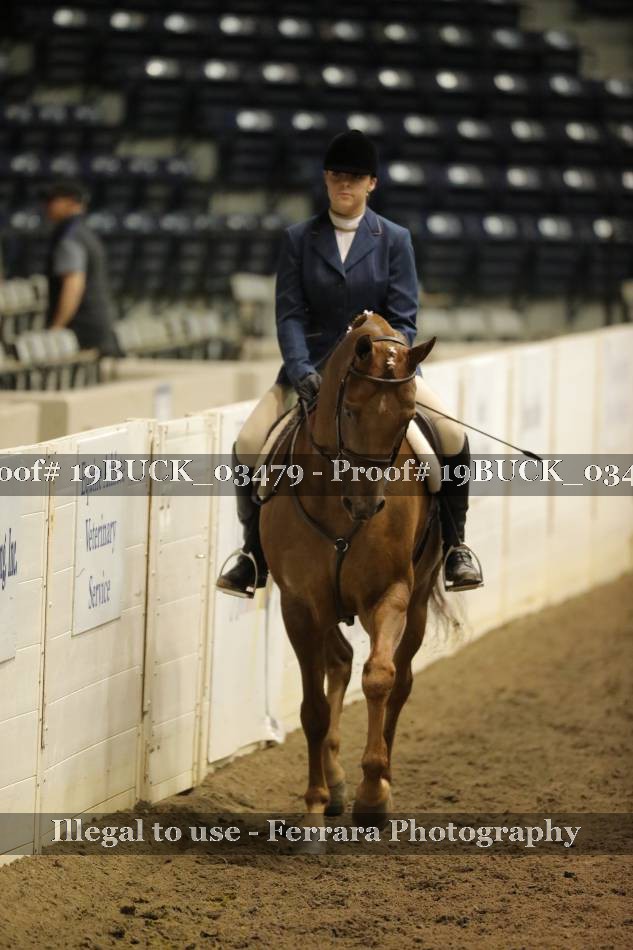 Proof 19BUCK_03479