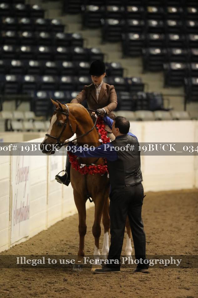 Proof 19BUCK_03480