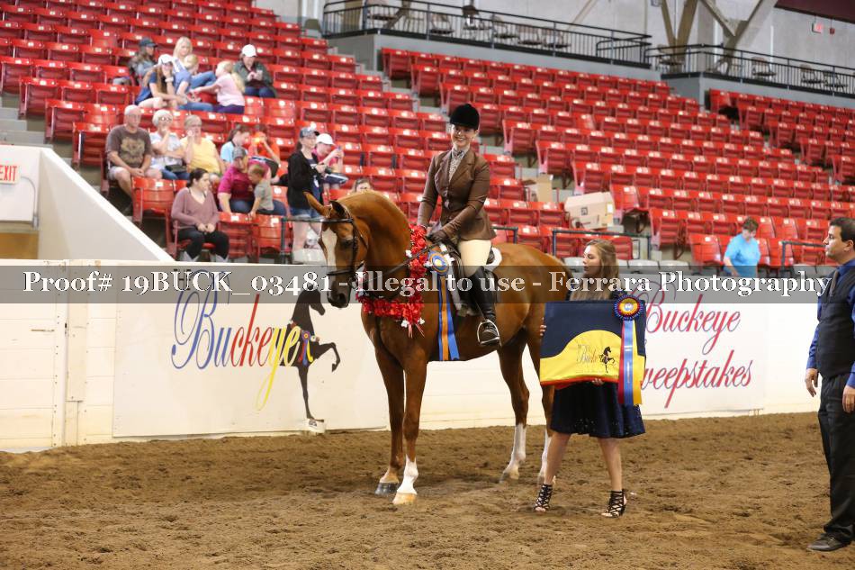 Proof 19BUCK_03481