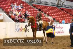 19BUCK_03481 proof