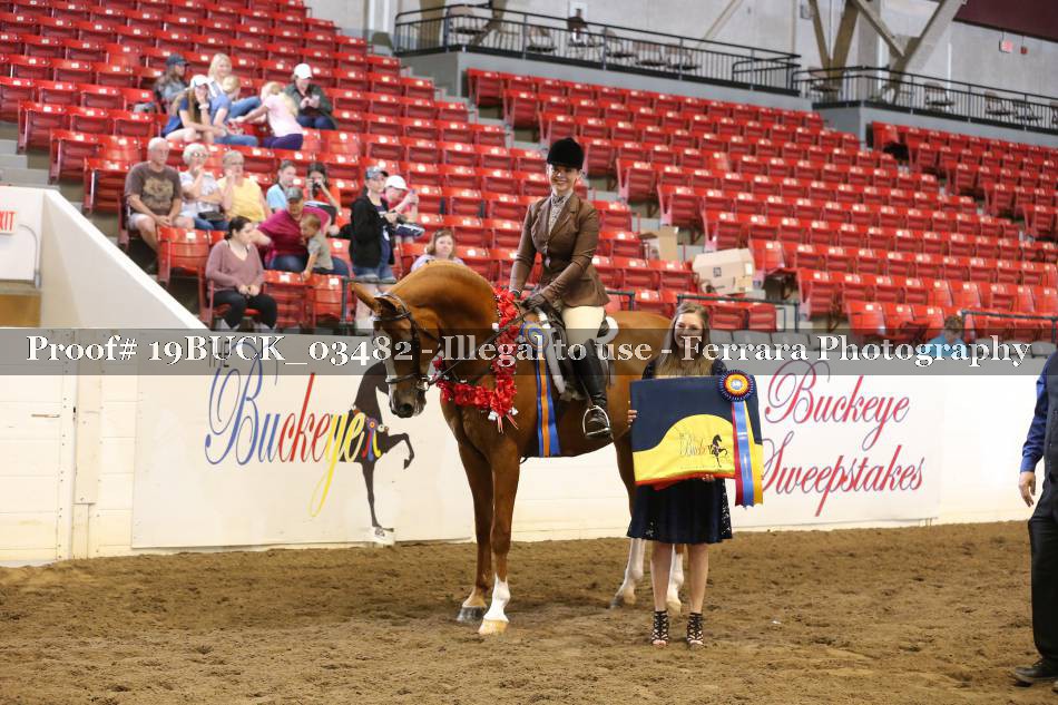 Proof 19BUCK_03482