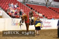 19BUCK_03482 proof