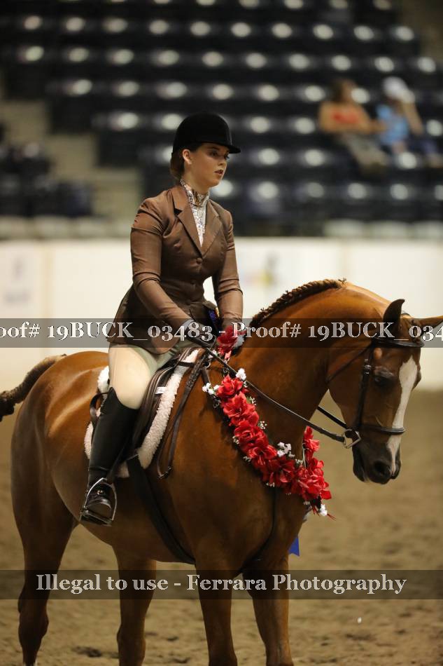 Proof 19BUCK_03483