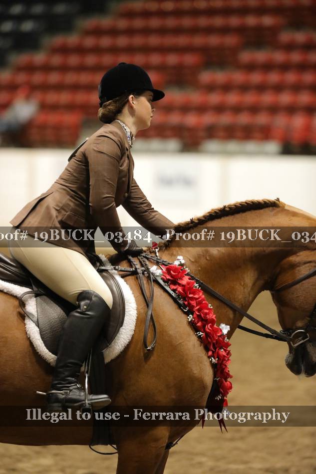 Proof 19BUCK_03484