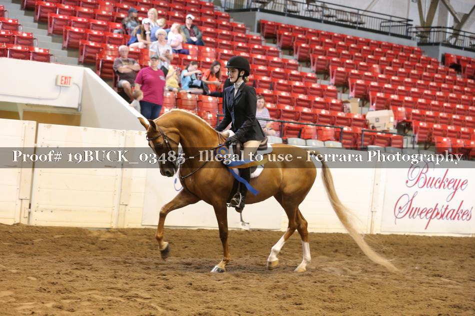 Proof 19BUCK_03485