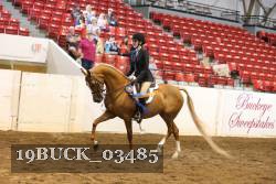 19BUCK_03485 proof
