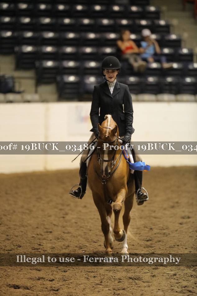 Proof 19BUCK_03486
