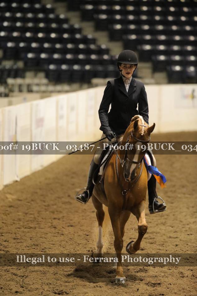 Proof 19BUCK_03487