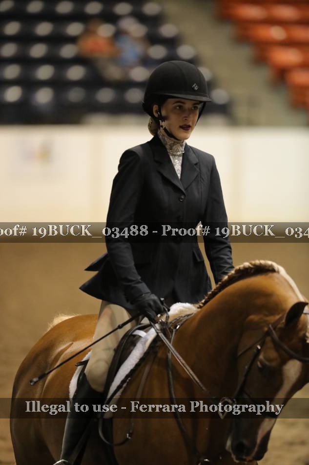Proof 19BUCK_03488