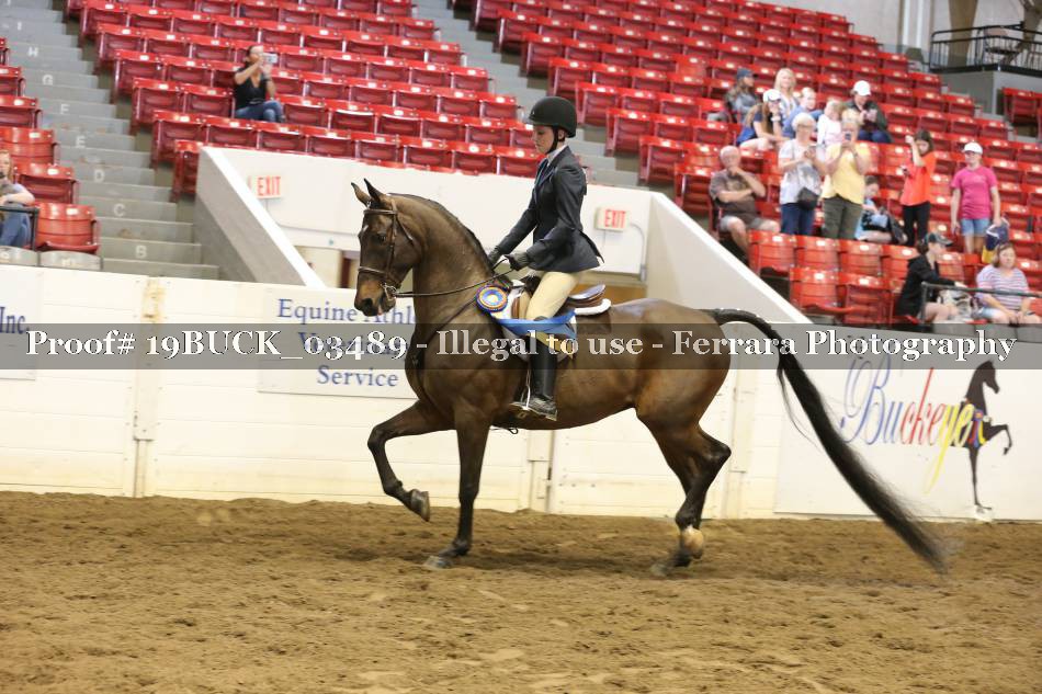 Proof 19BUCK_03489